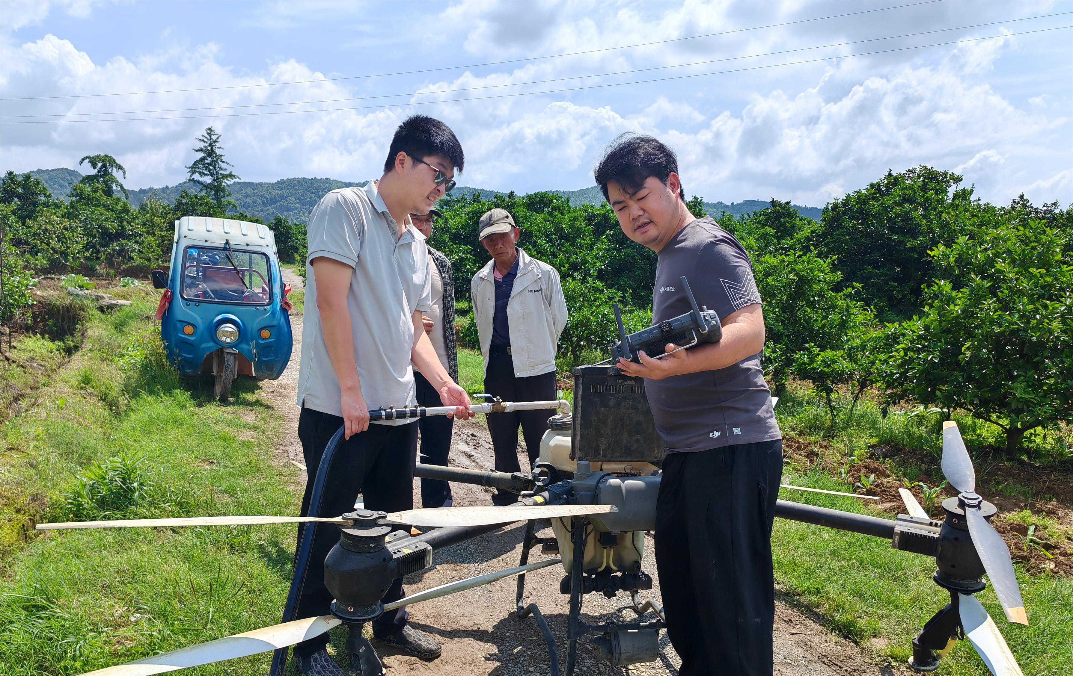 5天3万+亩!!!!尊龙时凯植保飞防队支援新宁县柑橘重大病虫害防控工作!!!! 5天3万+亩!!尊龙时凯植保飞防队支援新宁县柑橘重大病虫害防控工作!!